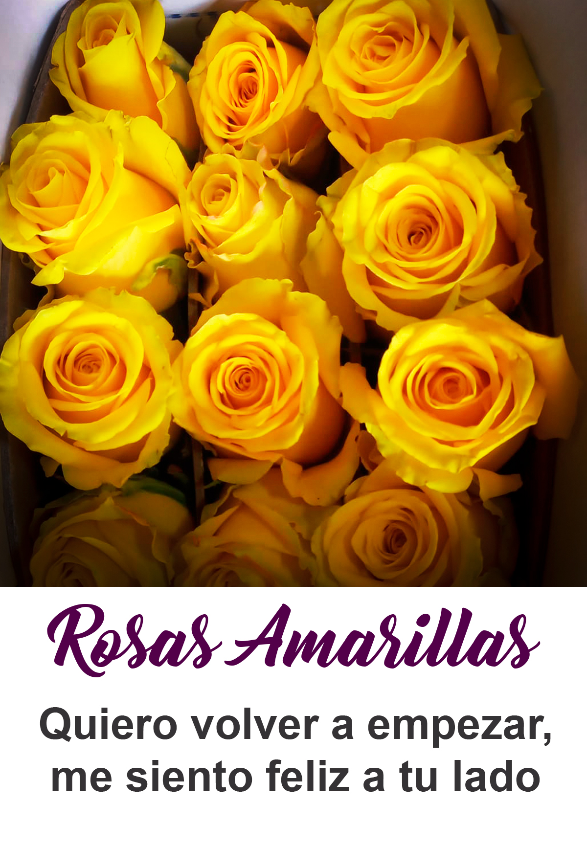 Rosas amarillas