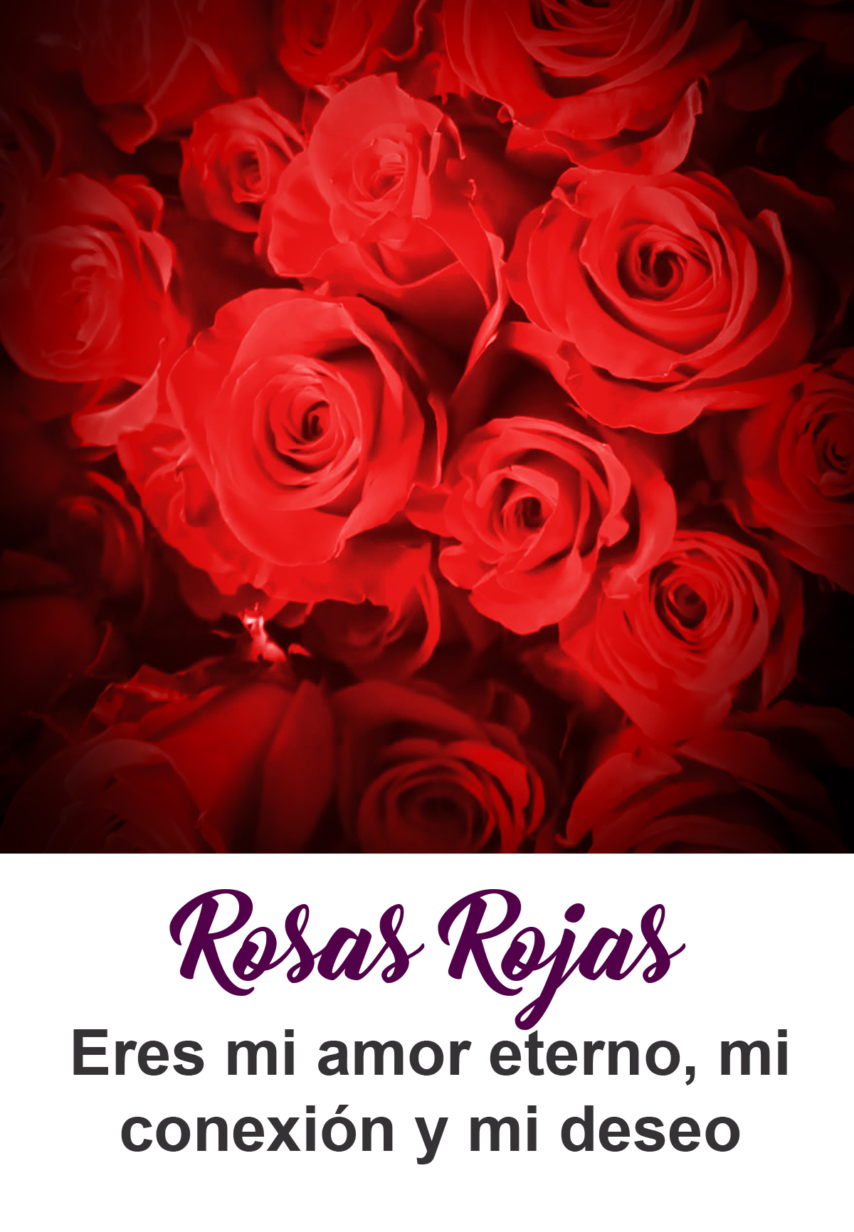 Rosas rojas