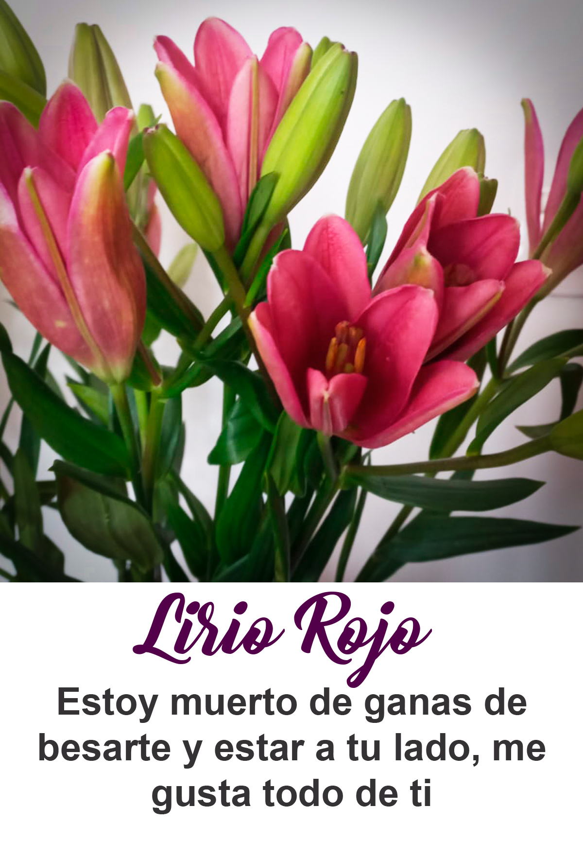 Lirios