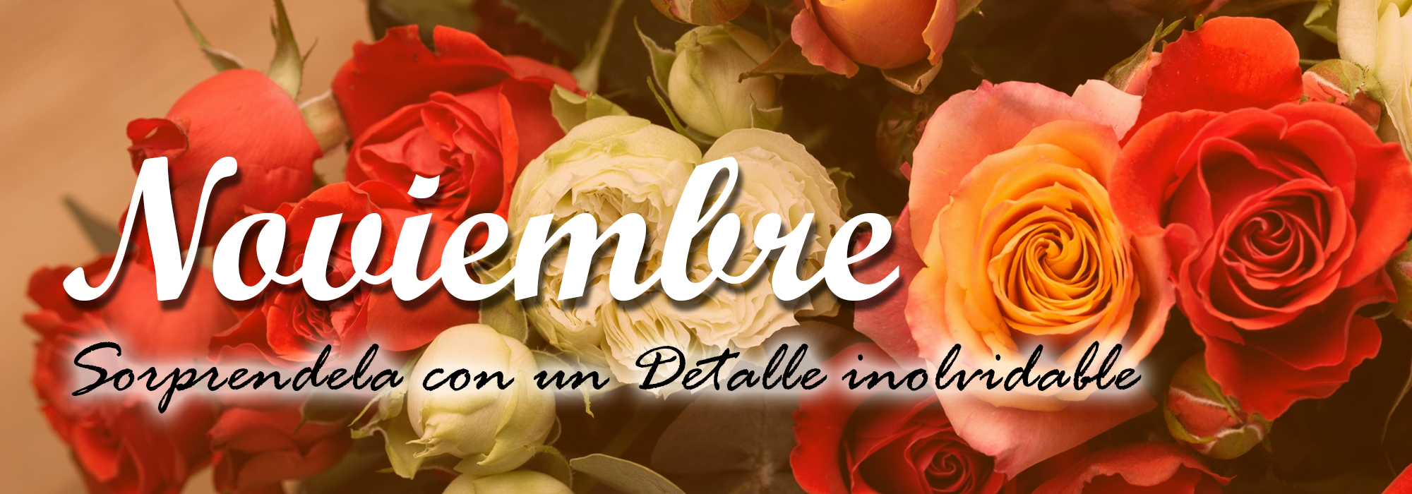 flores de noviembre