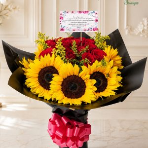Girasol Premium